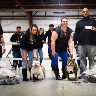 CANADA'S FIRST BRC SHOW 2019 GRCH MR ROYALTY (LEFT) AND GRCH CORVINUS (RIGHT)